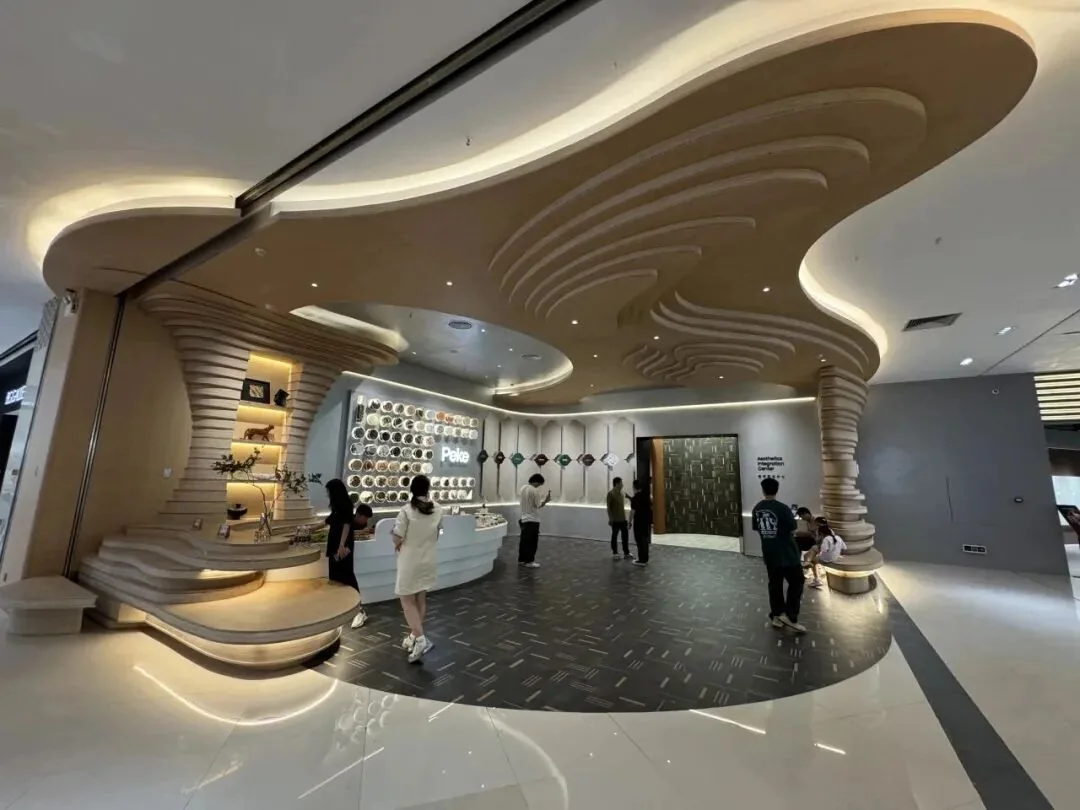 Paike Aesthetic Integration Center — interior view 2