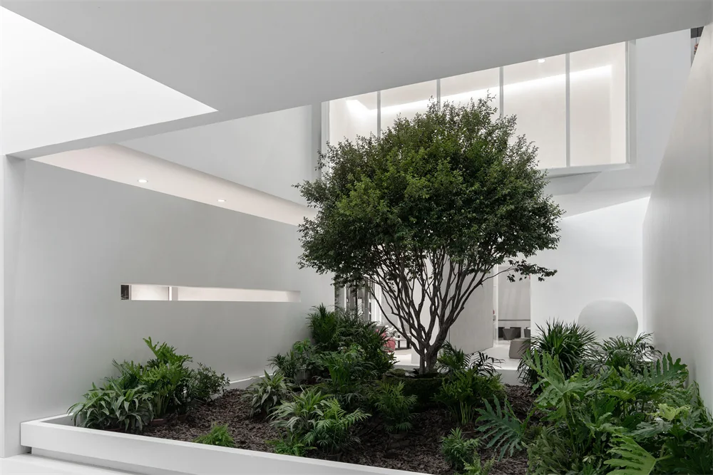 INOL Slab & Tile Gallery — interior view 4